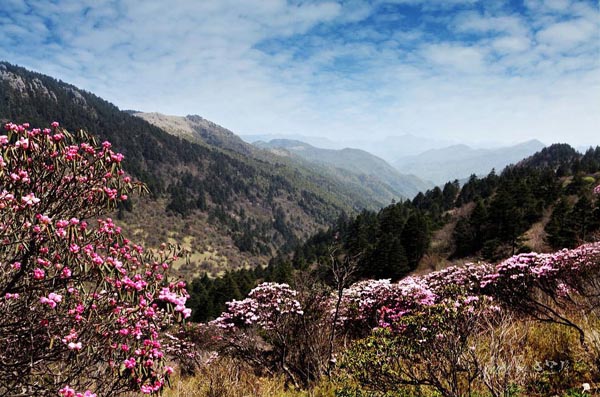 Shennongjia Nature Reserve