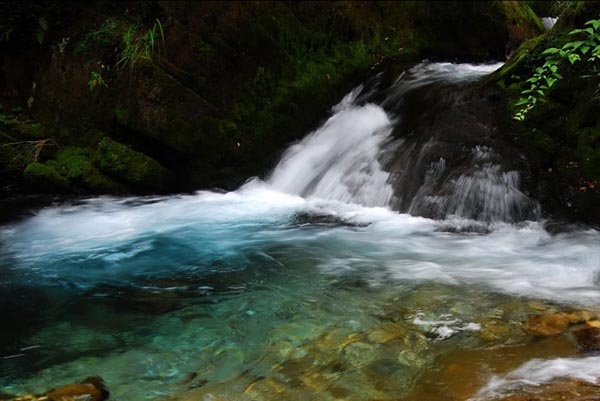 Shennongjia Nature Reserve
