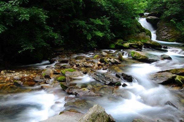 Shennongjia Nature Reserve