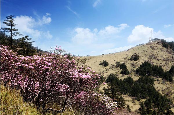 Shennongjia Nature Reserve