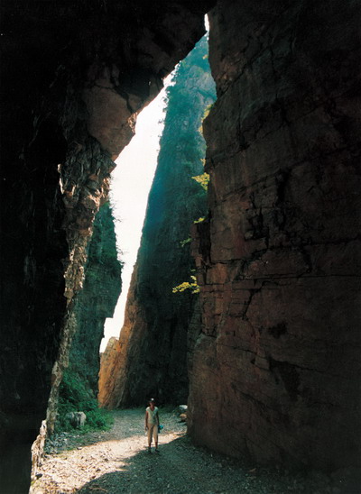 Tenglong Cave Group
