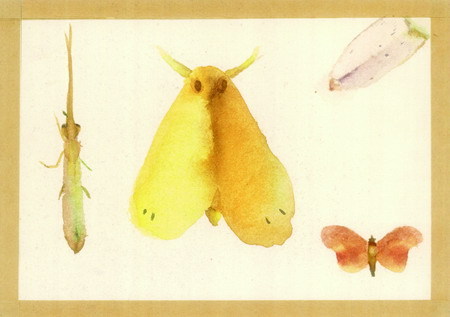 Illustration 1