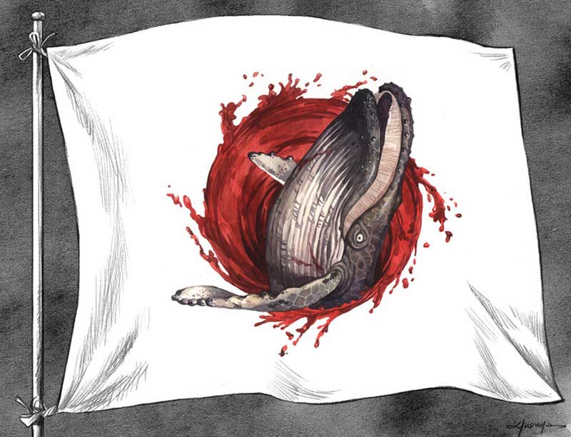 Whale killing