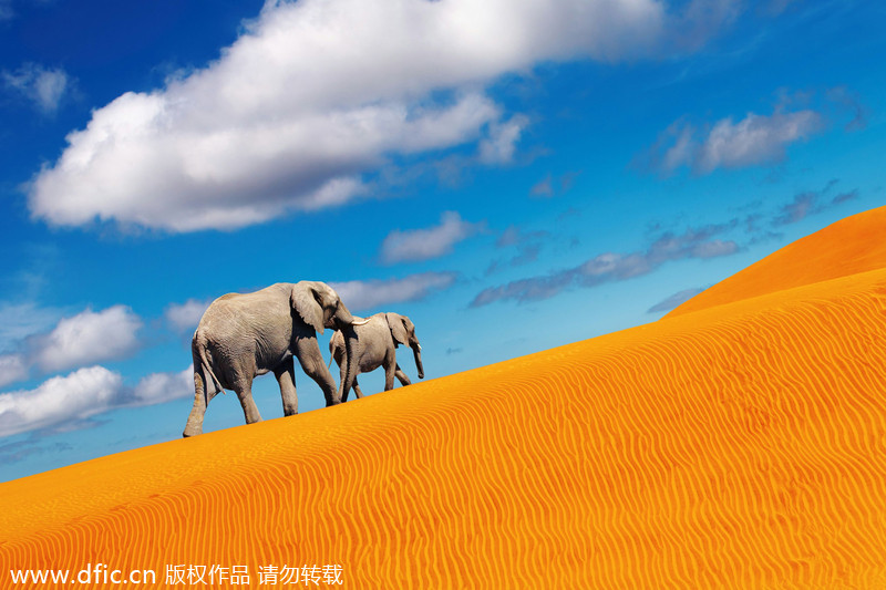 【老外博報(bào)】關(guān)于非洲的10個(gè)誤解
