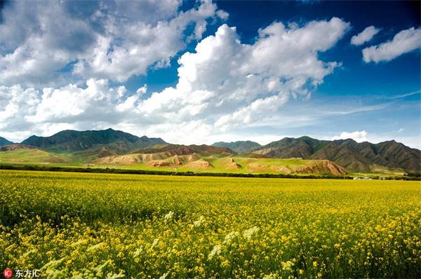 Funds fundamental for key ecological functional zones