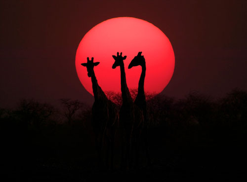 Scenes from Namibia