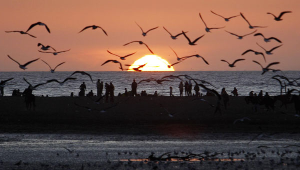 Sunset flight of fantasy