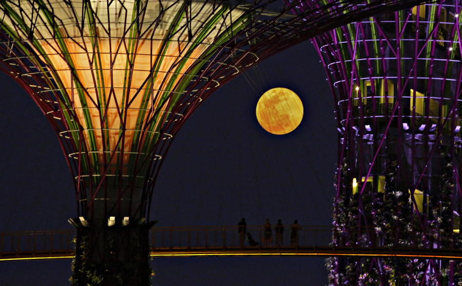 'Super moon' lights up night sky