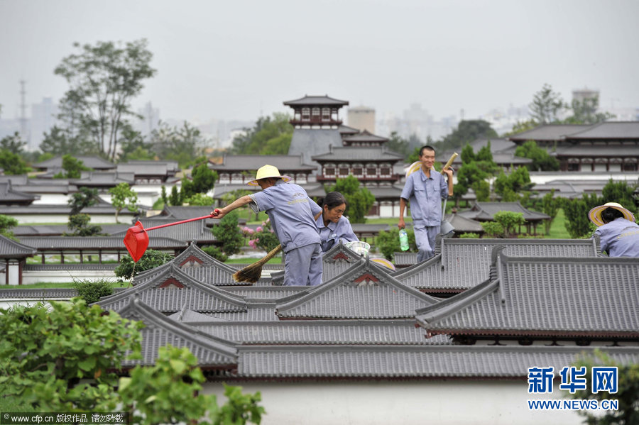 高清組圖：雨后草瘋長(zhǎng)“巨人”來清掃