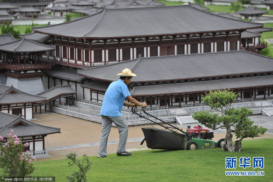 高清組圖：雨后草瘋長“巨人”來清掃