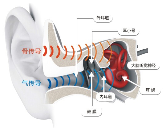骨傳導(dǎo)相關(guān)漲停背后，關(guān)于AfterShokz這頭深海藍(lán)鯨