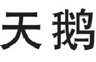 馳名商標展示