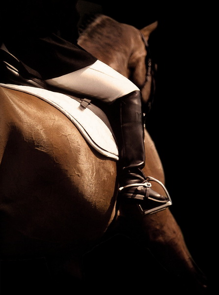 Modern pentathlon