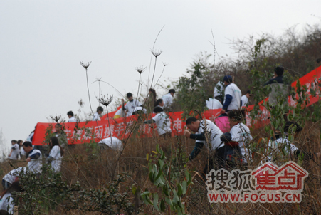“打造綠色家園建設(shè)城市繁華”植樹活動啟幕