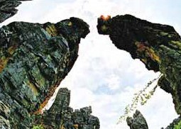 Stone Forest