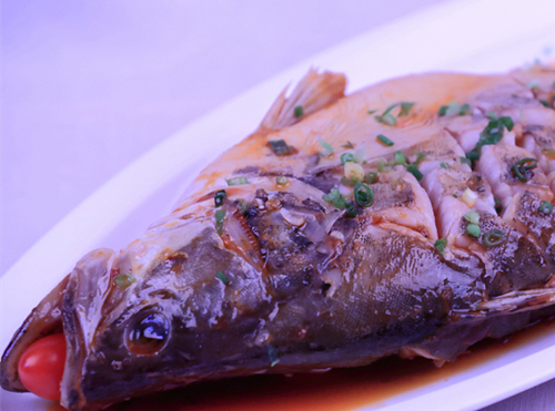 馬蹄桂魚