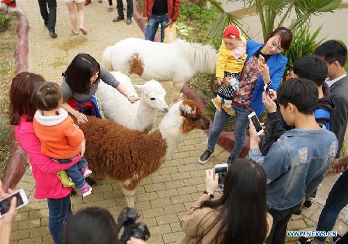 Wetland park in 