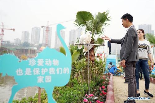 Wetland park in 