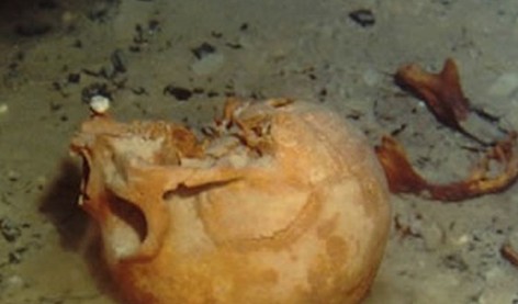 沉船遺骸 探秘不為人知的海底墳?zāi)?/></p>

<p>　　這張圖是考古學(xué)家在墨西哥一處水下洞穴中發(fā)現(xiàn)的女性骷髏頭，其生活時代可追溯到公元前1萬年。</p>

<p>來源：國際在線   編輯：許銀娟</p>
</p>
</div>
</div>

<div   class=