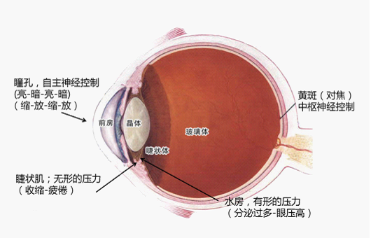 全國愛眼日 明基不閃屏為心靈之窗護航