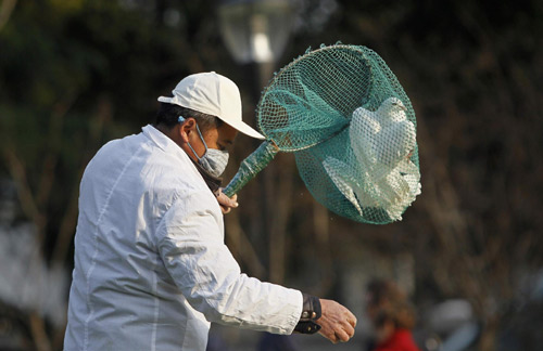 H7N9檢測(cè)試劑盒已發(fā)放