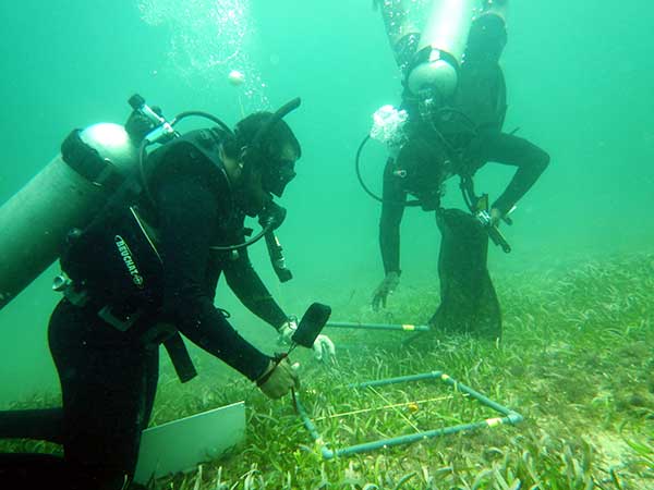 Death at the bottom of the bay