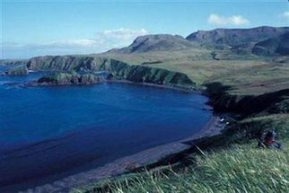 Alaska's Rat Island rat-free after 229 years