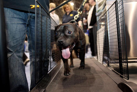 Meet the Breeds