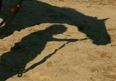 Man threatened to kill horse after betting error