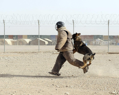 David Beckham buoys British troops in Afghanistan