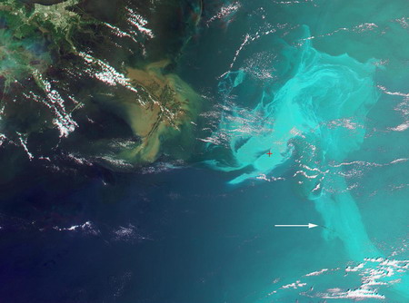 BP to show live video during spill-shutoff bid