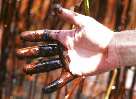 BP: 24 hrs will tell if oil leak plug works