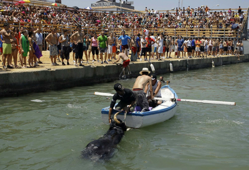 Bulls chasing revellers at Spanish festival