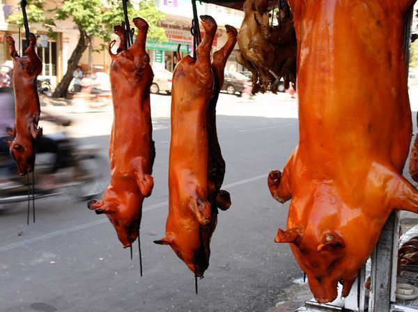外國(guó)人眼中各國(guó)特色小吃