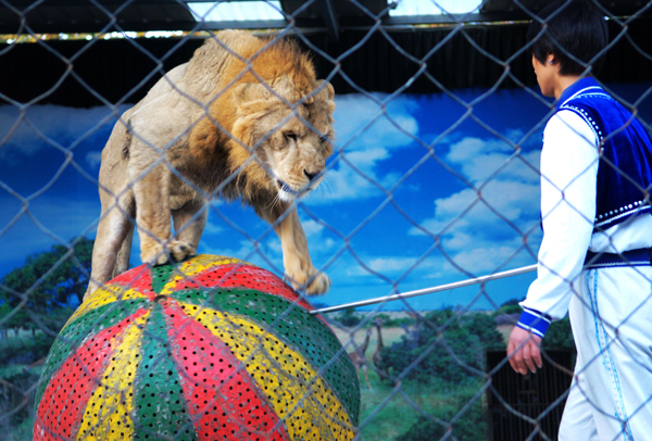 新規(guī)或影響整個動物園和馴獸行業(yè)<A href=