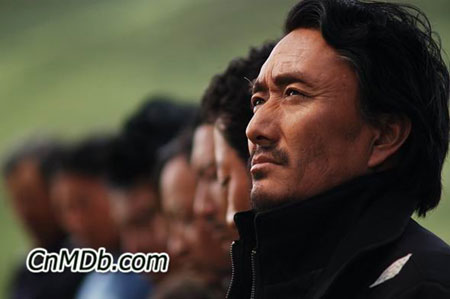 《可可西里》
