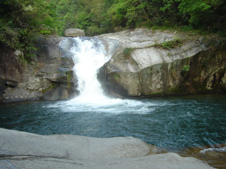 江西旅游發(fā)展論壇：旅游業(yè)是應(yīng)對(duì)金融危機(jī)的“殺手锏”