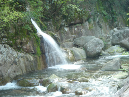 江西旅游發(fā)展論壇：旅游業(yè)是應(yīng)對(duì)金融危機(jī)的“殺手锏”