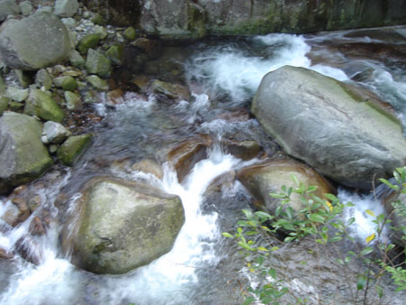 江西旅游發(fā)展論壇：旅游業(yè)是應(yīng)對(duì)金融危機(jī)的“殺手锏”