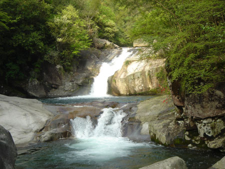 江西旅游發(fā)展論壇：旅游業(yè)是應(yīng)對(duì)金融危機(jī)的“殺手锏”