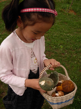 云南野生動物園菌子免費(fèi)采