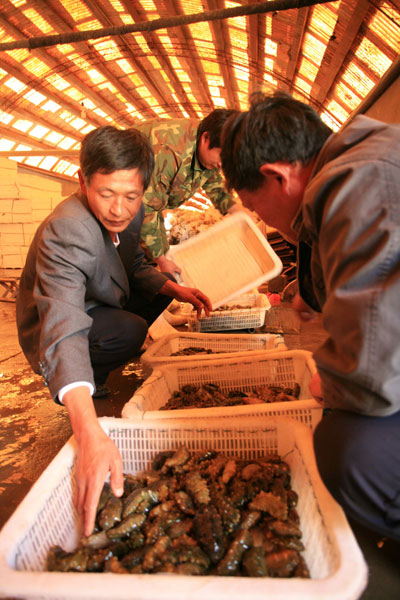 長島：藍色經(jīng)濟新戰(zhàn)略(圖)