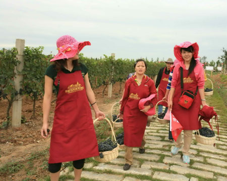 煙臺(tái)：東方葡萄海岸成為旅游熱點(diǎn)