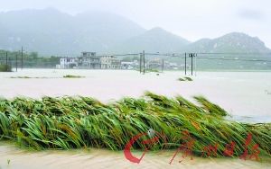臺風(fēng)巨爵造成廣東百萬人受災(zāi)1人失蹤(組圖)