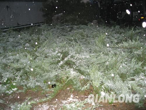 京城迎來今年第一場降雪 城區(qū)氣溫驟降(圖)