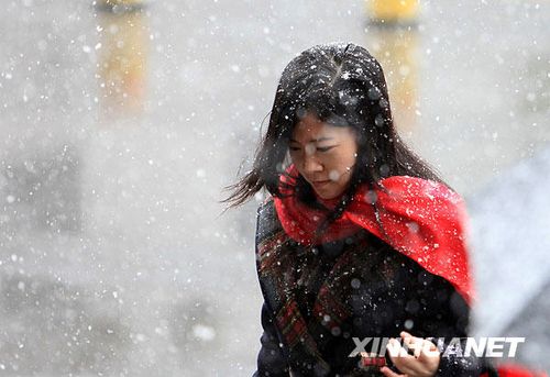 北京受降雪影響部分航班延誤 已啟動應(yīng)急預(yù)案