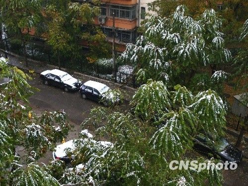 北京受降雪影響部分航班延誤 已啟動應(yīng)急預(yù)案