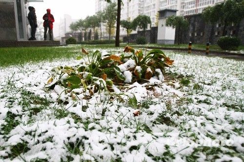 北京受降雪影響部分航班延誤 已啟動應(yīng)急預(yù)案