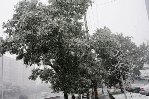 北京受降雪影響部分航班延誤 已啟動(dòng)應(yīng)急預(yù)案