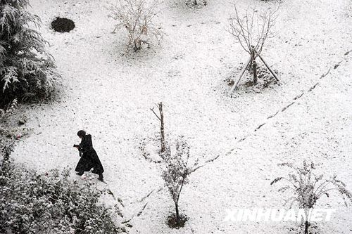 北京受降雪影響部分航班延誤 已啟動應(yīng)急預(yù)案